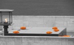 Raj Ghat