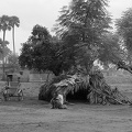 Rickshaw Driver