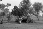 Rickshaw Driver