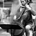 Street Cellist