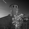 palazzo_madama_bw_web.jpg