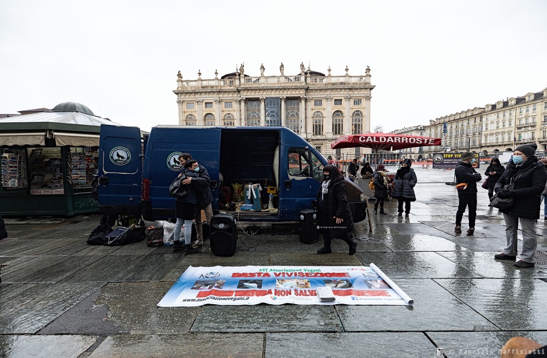 Manifestazione Animalista 1.jpg