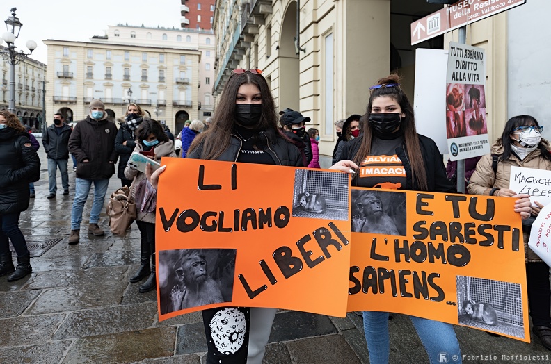 Manifestazione Animalista 2.jpg