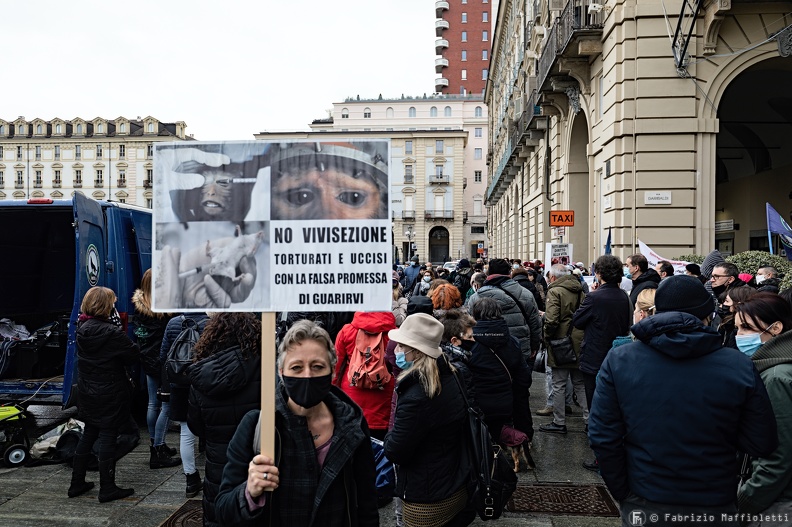 Manifestazione Animalista 5.jpg