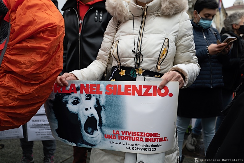 Manifestazione Animalista 7.jpg