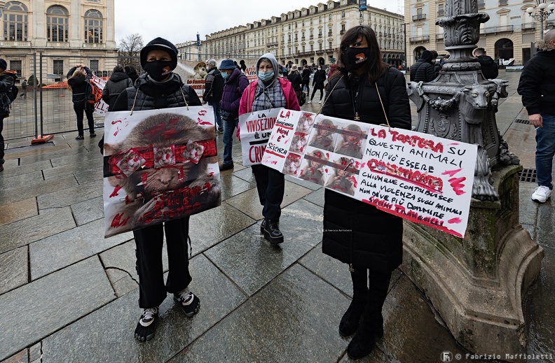 Manifestazione Animalista 9.jpg