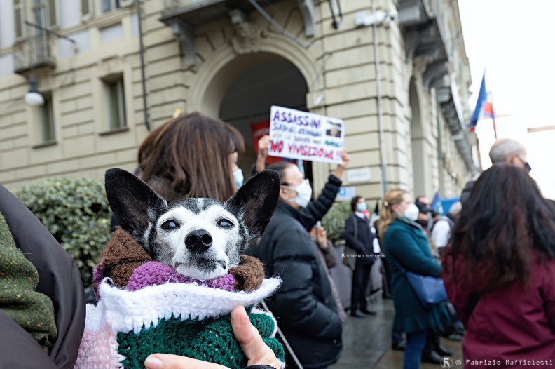 Manifestazione Animalista 19.jpg