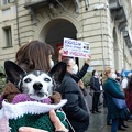 Manifestazione Animalista 19.jpg