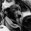 Manifestazione Animalista 10.jpg